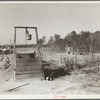 Tenant farm, tract number 189. Johnston County, North Carolina