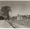 Tenant farm, tract number 189. Johnston County, North Carolina