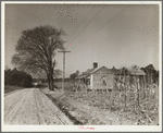 Tenant farm, tract number 189. Johnston County, North Carolina