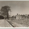 Tenant farm, tract number 189. Johnston County, North Carolina