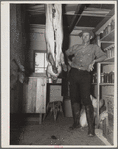C.D. Grant in storehouse on his farm at Penderlea Homesteads. North Carolina