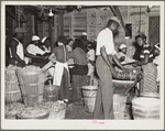 Canning plant employees grading beans. Dania, Florida. Many of these workers are migrants