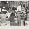 Canning plant employees grading beans. Dania, Florida. Many of these workers are migrants