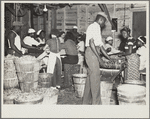 Canning plant employees grading beans. Dania, Florida. Many of these workers are migrants