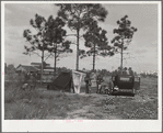 A family of eight from Tennessee camped near citrus packing plant at Winterhaven, Florida