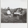 Lunch wagon for bean pickers. Belle Glade, Florida