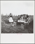 Lunch wagon for bean pickers. Belle Glade, Florida