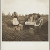 Lunch wagon for bean pickers. Belle Glade, Florida