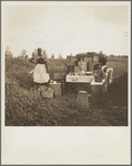 Lunch wagon for bean pickers. Belle Glade, Florida
