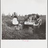 Lunch wagon for bean pickers. Belle Glade, Florida