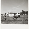 Plowing a field at Palmerdale, Alabama. New homestead in the background