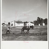 Plowing a field at Palmerdale, Alabama. New homestead in the background