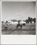 Plowing a field at Palmerdale, Alabama. New homestead in the background