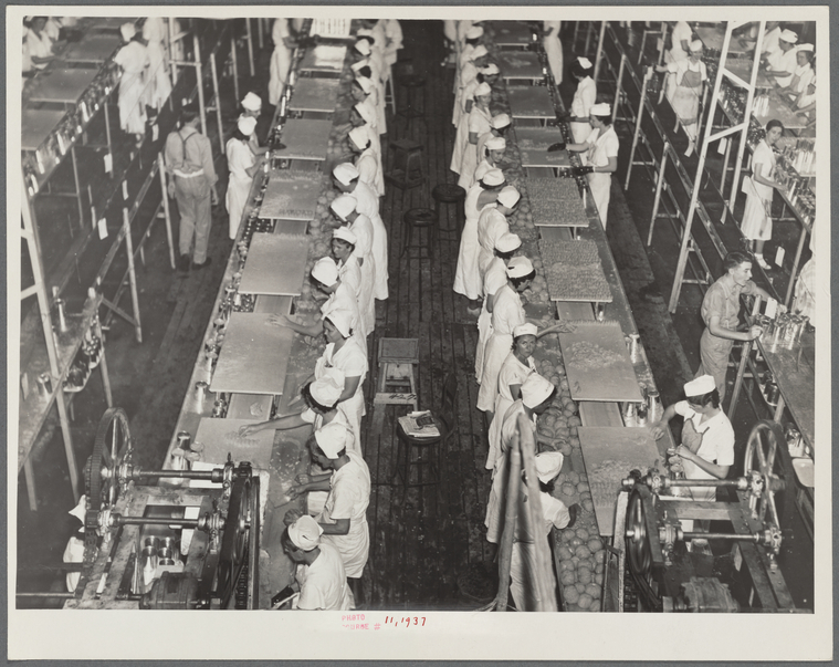 Scene in the grapefruit canning plant at Winterhaven, Florida