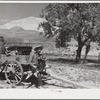 Homesteader in the land development area. Pennington County, South Dakota