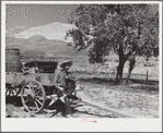 Homesteader in the land development area. Pennington County, South Dakota