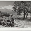 Homesteader in the land development area. Pennington County, South Dakota