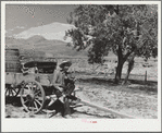 Homesteader in the land development area. Pennington County, South Dakota