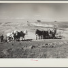 Building a stock water dam. Pennington County, South Dakota