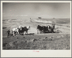 Building a stock water dam. Pennington County, South Dakota