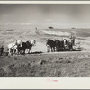 Building a stock water dam. Pennington County, South Dakota