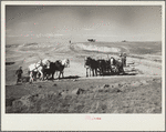 Building a stock water dam. Pennington County, South Dakota