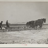 Construction on a stock water dam. Dawes County, Nebraska