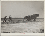 Construction on a stock water dam. Dawes County, Nebraska