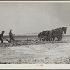 Construction on a stock water dam. Dawes County, Nebraska