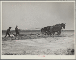 Construction on a stock water dam. Dawes County, Nebraska