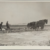 Construction on a stock water dam. Dawes County, Nebraska