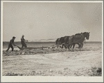 Construction on a stock water dam. Dawes County, Nebraska