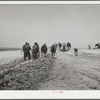 Construction on a stock water dam. Dawes County, Nebraska