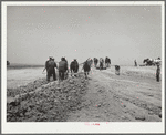 Construction on a stock water dam. Dawes County, Nebraska