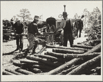 Cutting fence posts. Pine Ridge, Nebraska