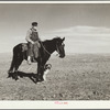 Sheep herder. Pennington County, South Dakota