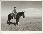 Sheep herder. Pennington County, South Dakota