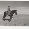 Sheep herder. Pennington County, South Dakota