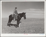 Sheep herder. Pennington County, South Dakota