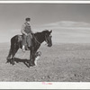 Sheep herder. Pennington County, South Dakota