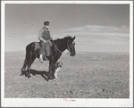 Sheep herder. Pennington County, South Dakota