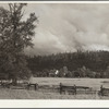 An Oregon dairy farm in the McKenzie River Valley, Oregon