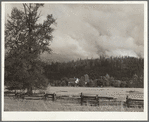 An Oregon dairy farm in the McKenzie River Valley, Oregon