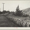 Water is precious in central Oregon and this irrigation flume comes a long way from the Deschutes River to help grow alfalfa. Oregon