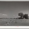 Farm near Denver, Colorado