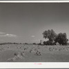 Farm near Denver, Colorado