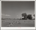 Farm near Denver, Colorado