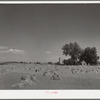 Farm near Denver, Colorado