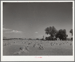 Farm near Denver, Colorado