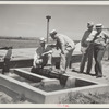 A little water for a thirsty land. Drought committee inspects artesian well irrigation project. Baca County, Colorado